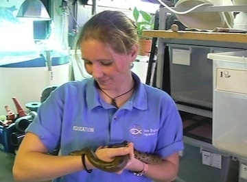 kelley at neaq.jpg